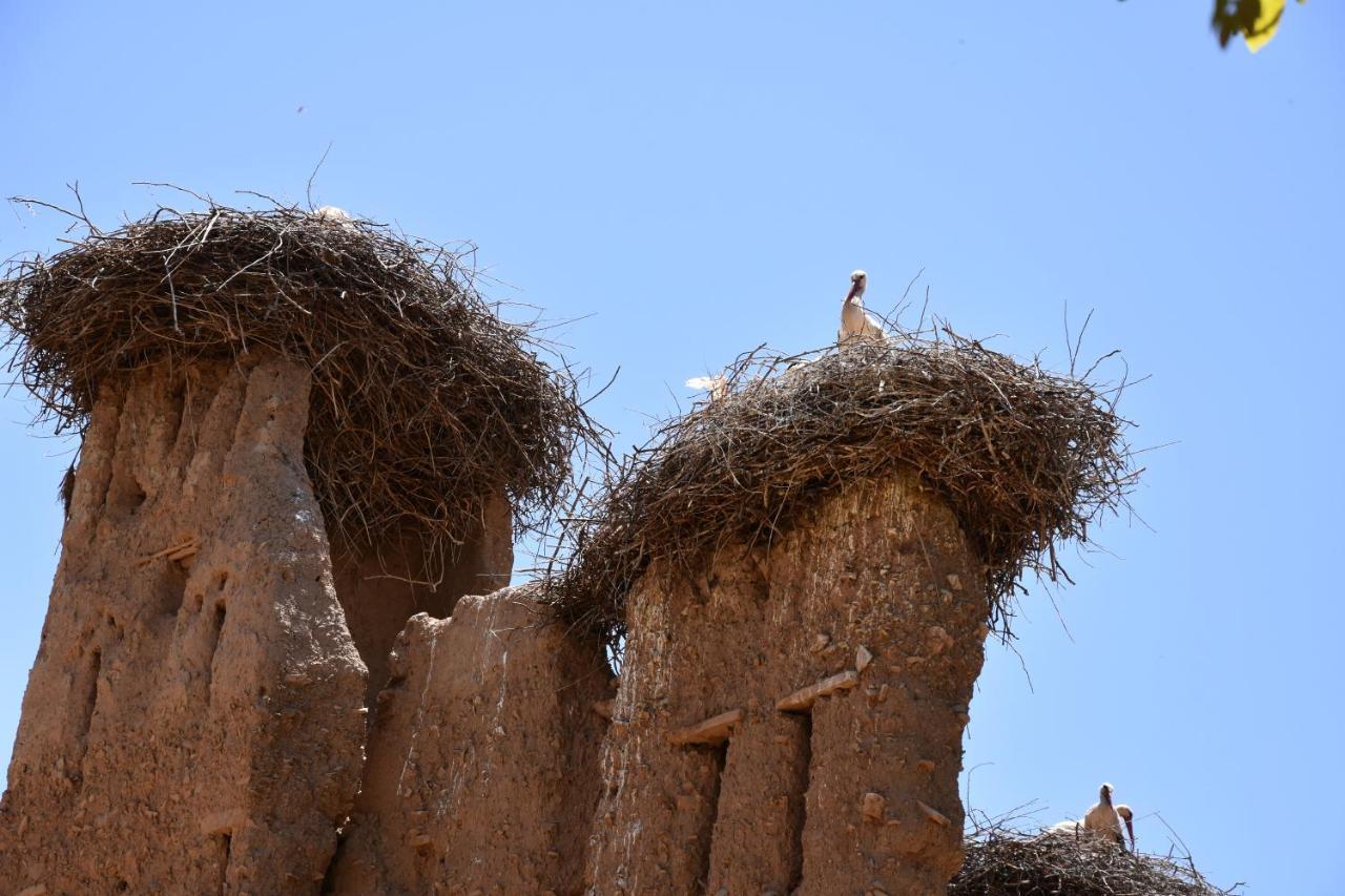 Maison D'Hotes Dar Afra Ait Ziri Dış mekan fotoğraf